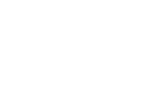 Official logo of Lupa.cz